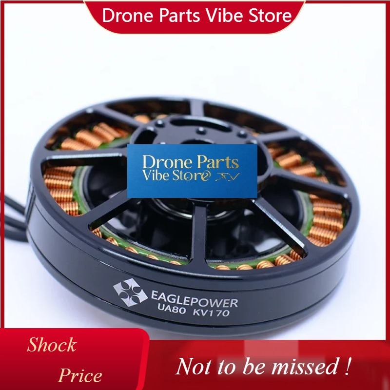 Drone Crop Sprayer - DParts1UA80- KV85/150/175 ESC per Droni Agricoli/Parti