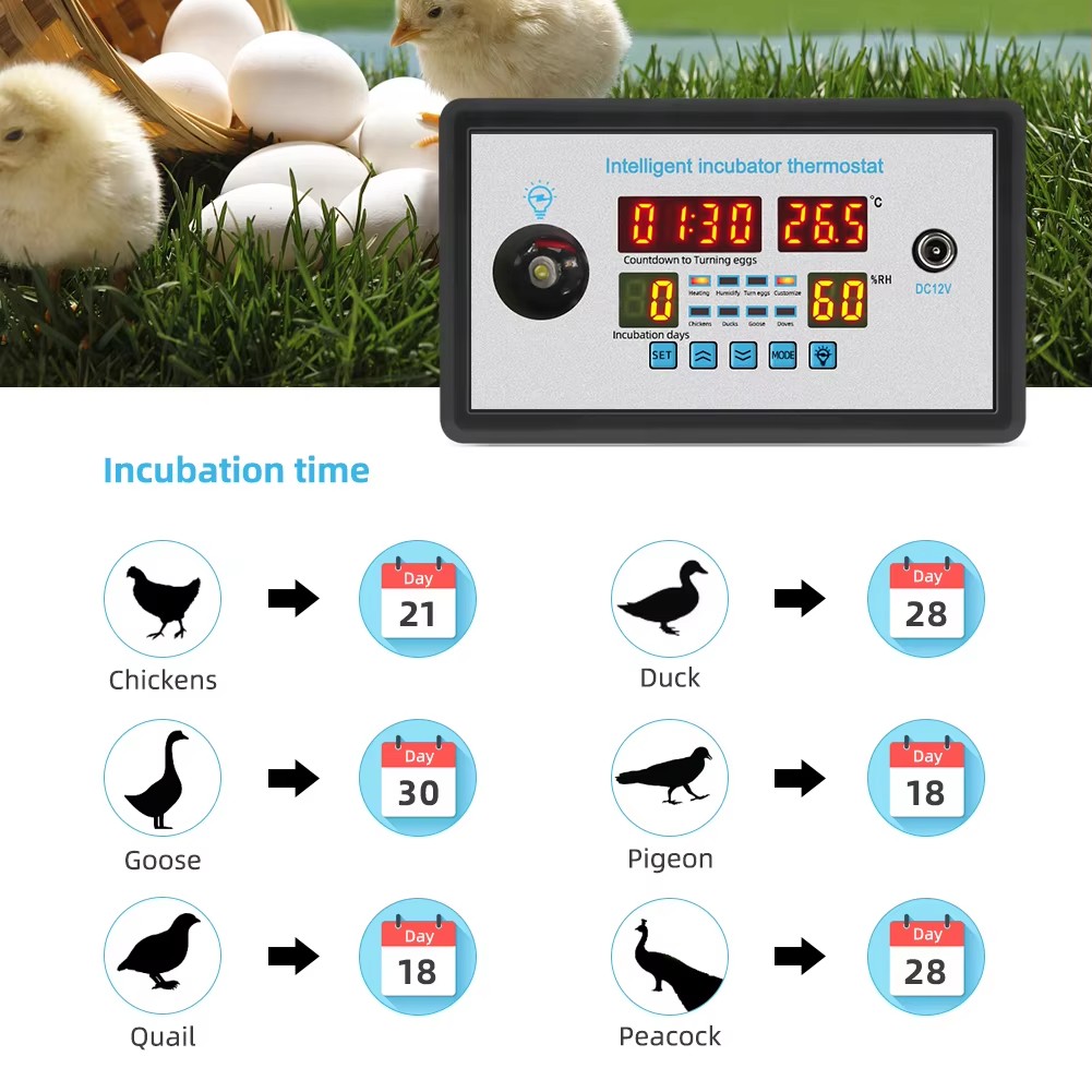 Poultry Incubator - ZFX-W9002 Controller per incubatrice per uova