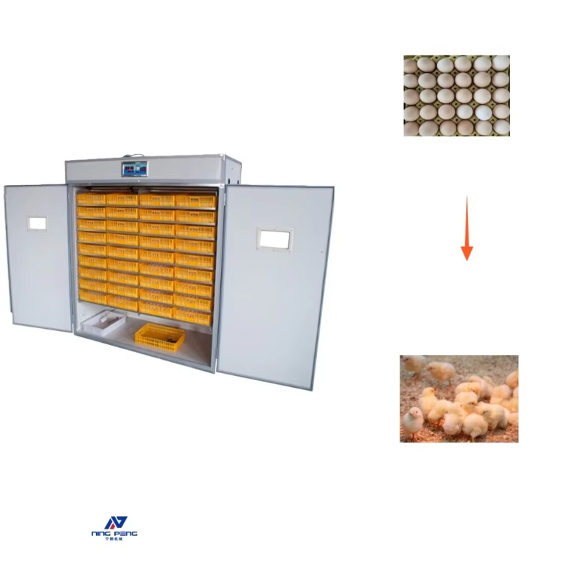 Poultry Incubator - Incubatrice per Uova di Pollame, Incubatrice