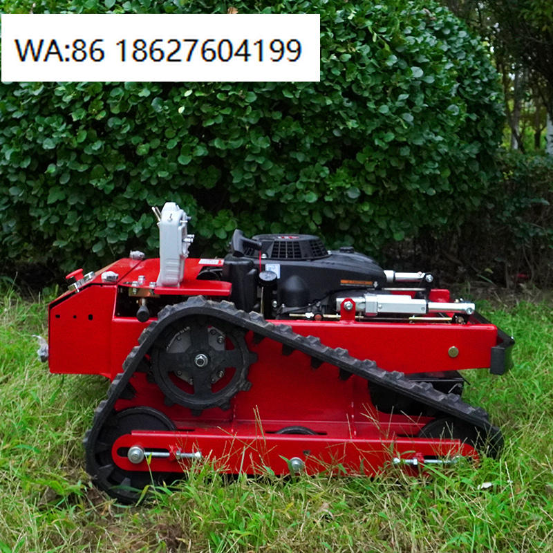 Agriculture Farming Robot - Robot Rasaerba Semovente AWY 550L con