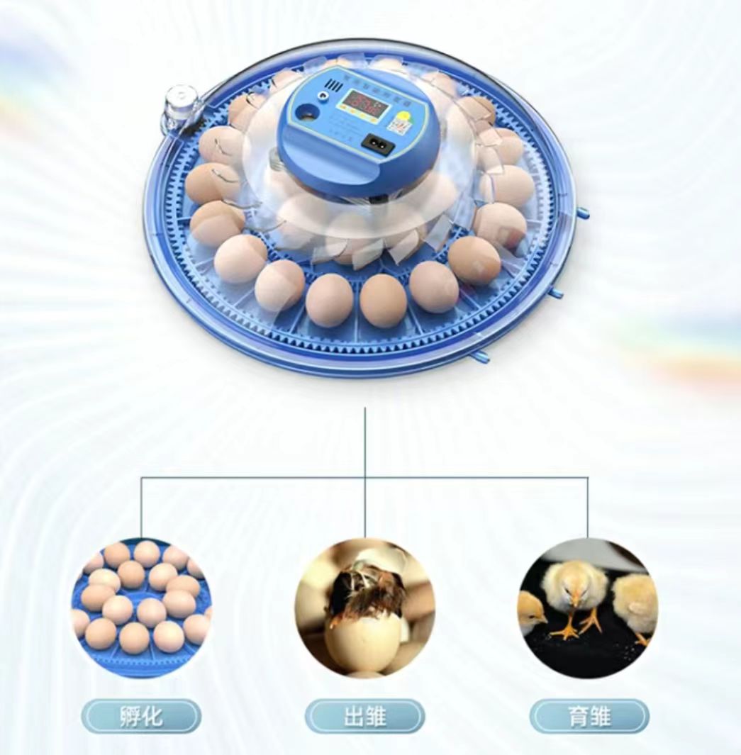 Poultry Incubator - Incubatrice per Uova di Gallina 20/24/36/56/96/112