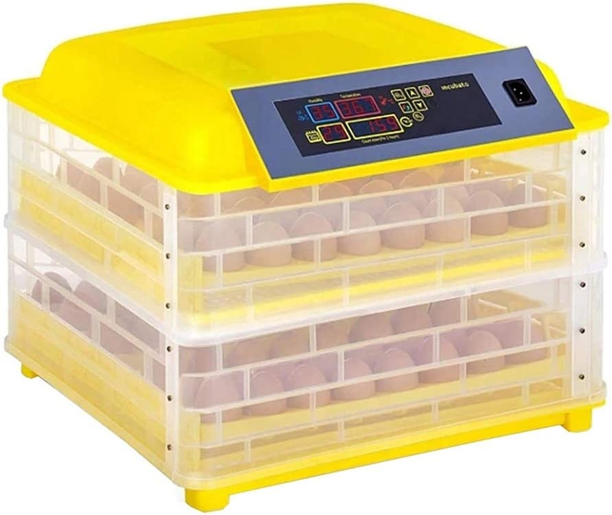 Incubatrice per Uova di Gallin - Poultry Incubator recensione e prezzo