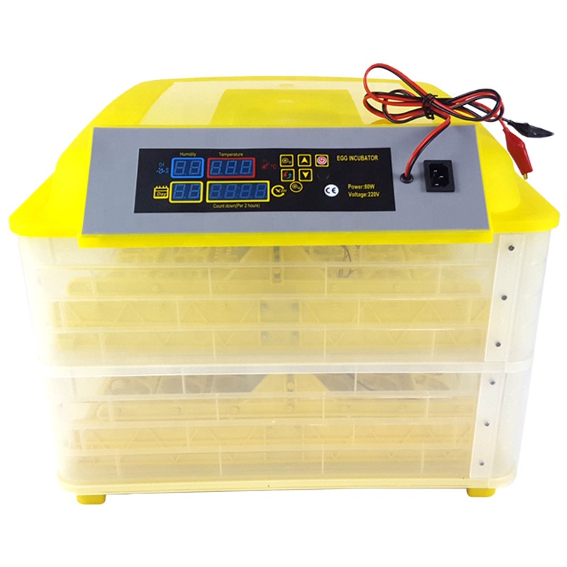 Incubatrice per Uova di Gallin - Poultry Incubator recensione e prezzo