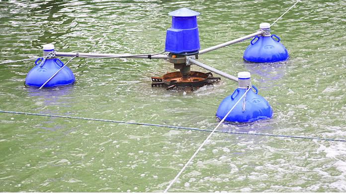 Aeratore Commerciale per Acqua - Fish Pond Aerator recensione e prezzo