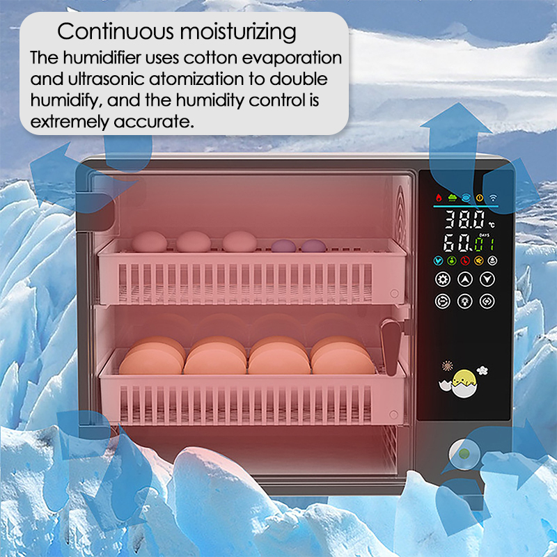 Incubatrice per uova con rotaz - Poultry Incubator recensione e prezzo