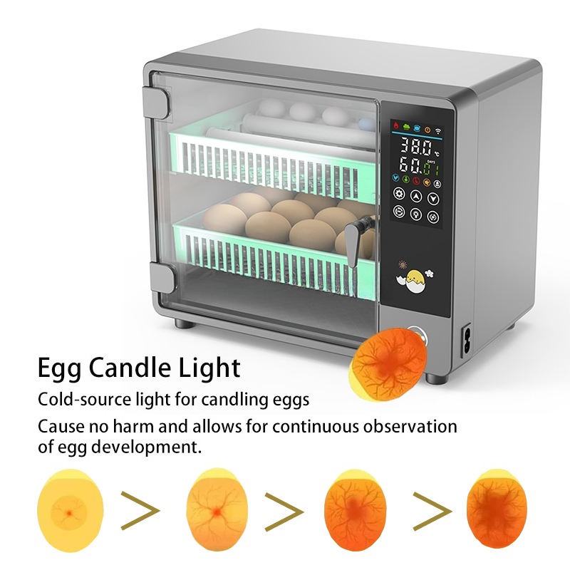 Incubatrice per Uova Completam - Poultry Incubator recensione e prezzo