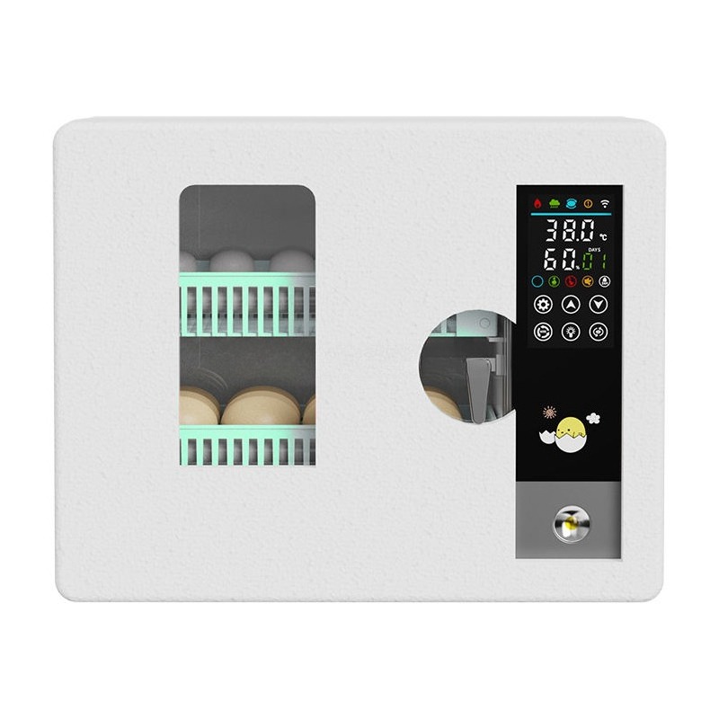 Incubatrice per Uova Completam - Poultry Incubator recensione e prezzo