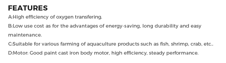 Sistema di Aerazione per Allev - Fish Pond Aerator recensione e prezzo