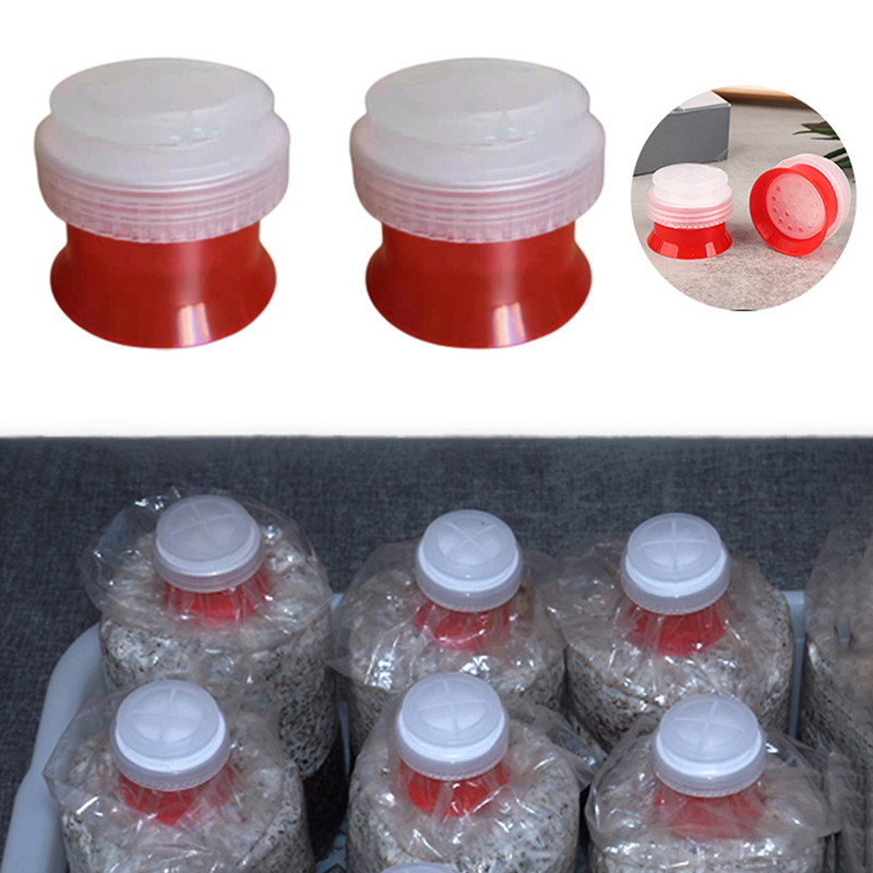 10 Pezzi Collari Sigillanti pe - Mushroom Spawn Bag recensione e prezzo