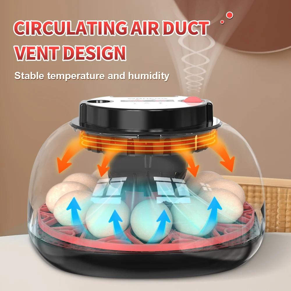 Incubatrice per 12 Uova con Ro - Poultry Incubator recensione e prezzo