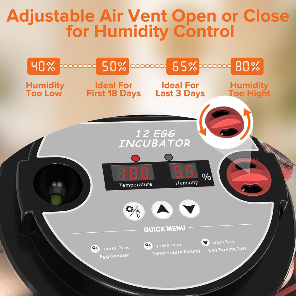 Incubatrice per 12 Uova con Ro - Poultry Incubator recensione e prezzo