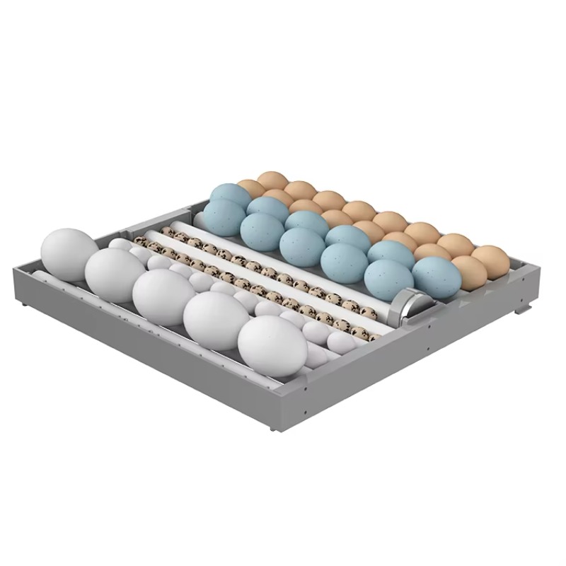 Incubatrice Intelligente a 7 S - Poultry Incubator recensione e prezzo