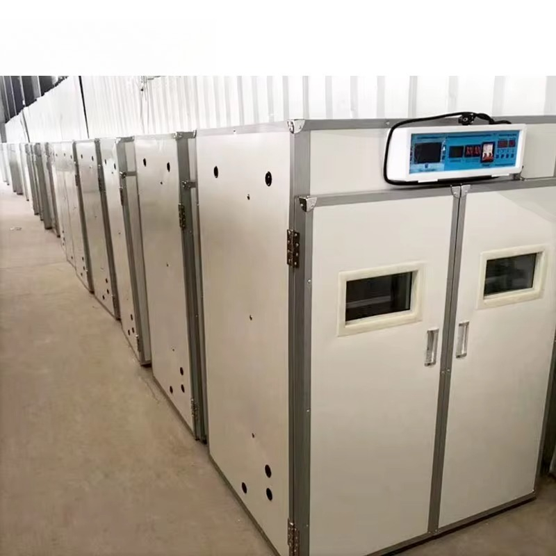 Incubatrice Industriale per 52 - Poultry Incubator recensione e prezzo