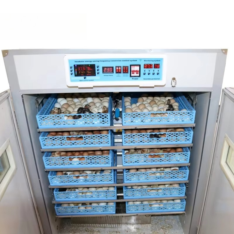 Incubatrice Industriale per 52 - Poultry Incubator recensione e prezzo