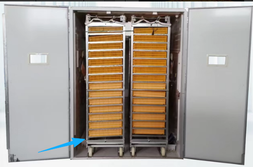 Incubatrice Automatica per 100 - Poultry Incubator recensione e prezzo
