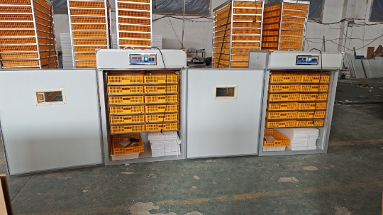 Incubatrice Automatica per 100 - Poultry Incubator recensione e prezzo