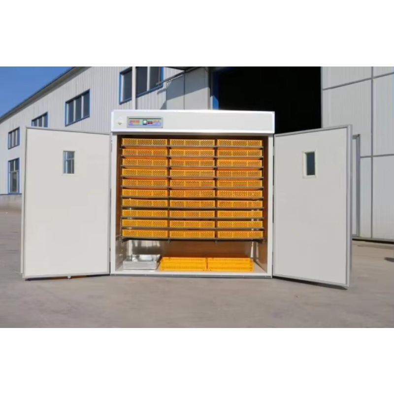 Incubatrice per Uova di Pollam - Poultry Incubator recensione e prezzo