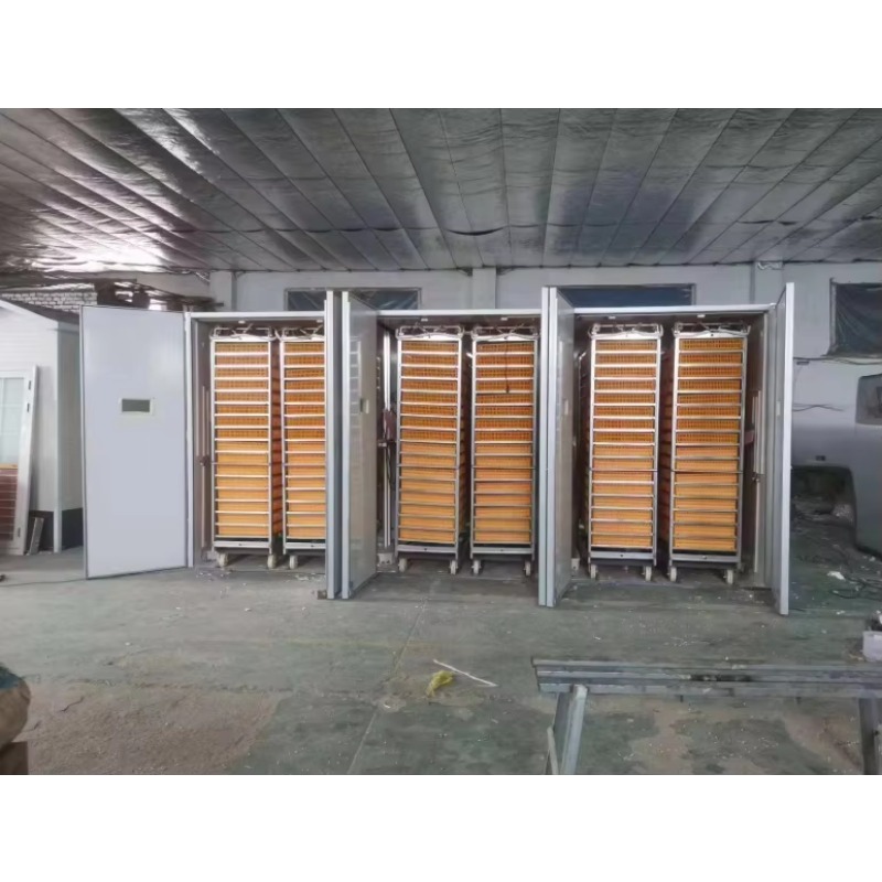 Incubatrice per Uova di Pollam - Poultry Incubator recensione e prezzo
