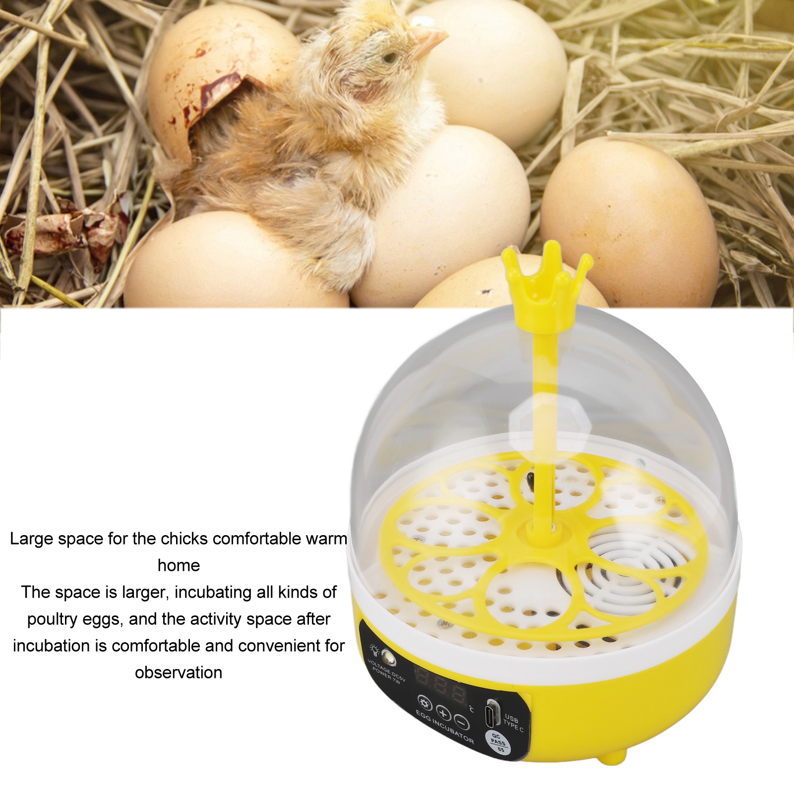 Incubatrice per uova Controllo - Poultry Incubator recensione e prezzo