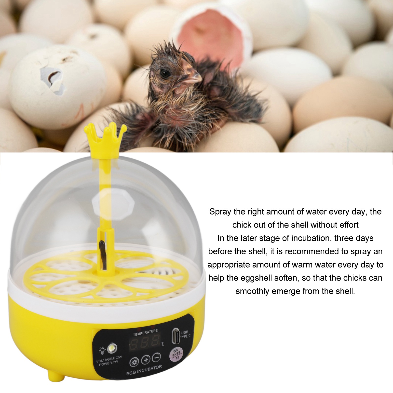 Incubatrice per uova Controllo - Poultry Incubator recensione e prezzo