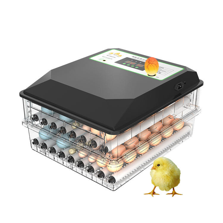 Incubatrice Automatica per Uov - Poultry Incubator recensione e prezzo
