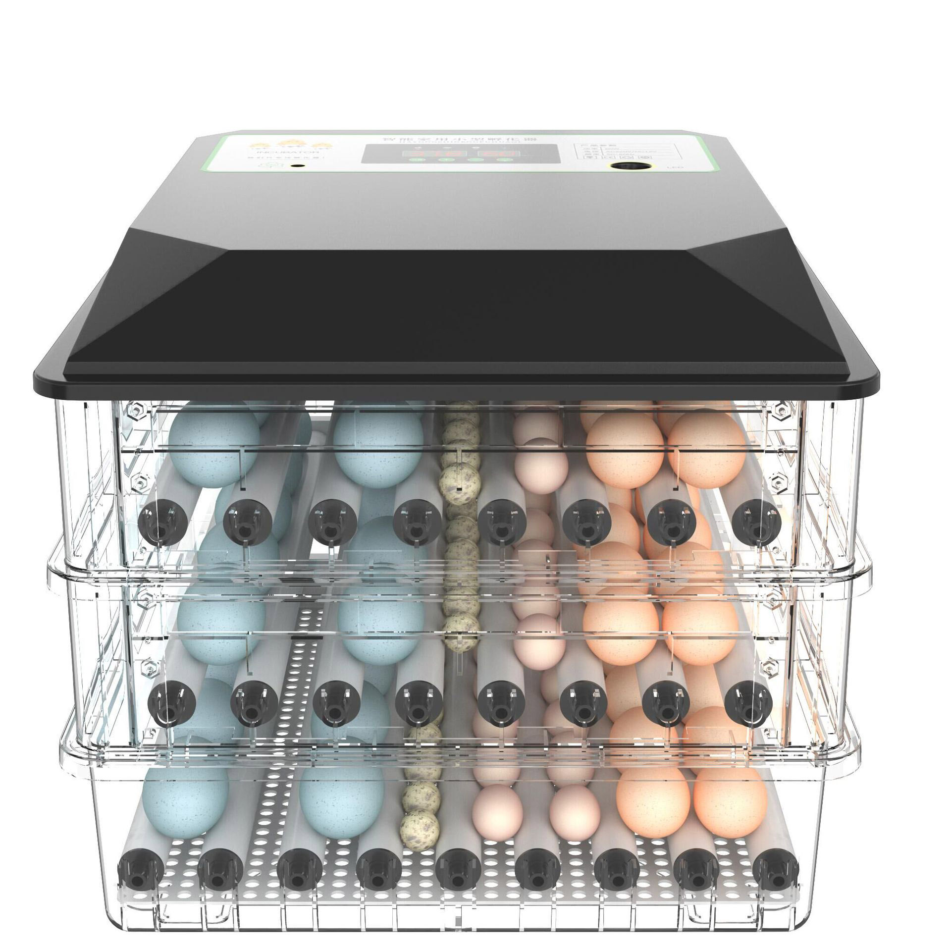 Incubatrice Automatica per Uov - Poultry Incubator recensione e prezzo