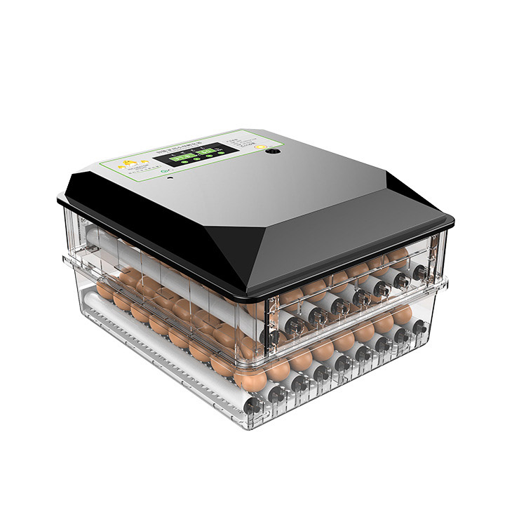 Incubatrice Automatica per Uov - Poultry Incubator recensione e prezzo
