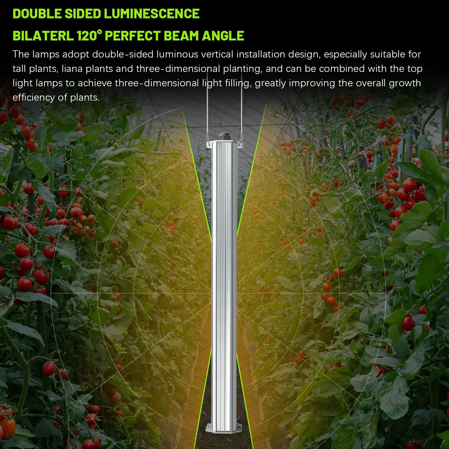 Migliore Sistema Idroponico Ce - Agriculture Tomato Farming recensione e prezzo