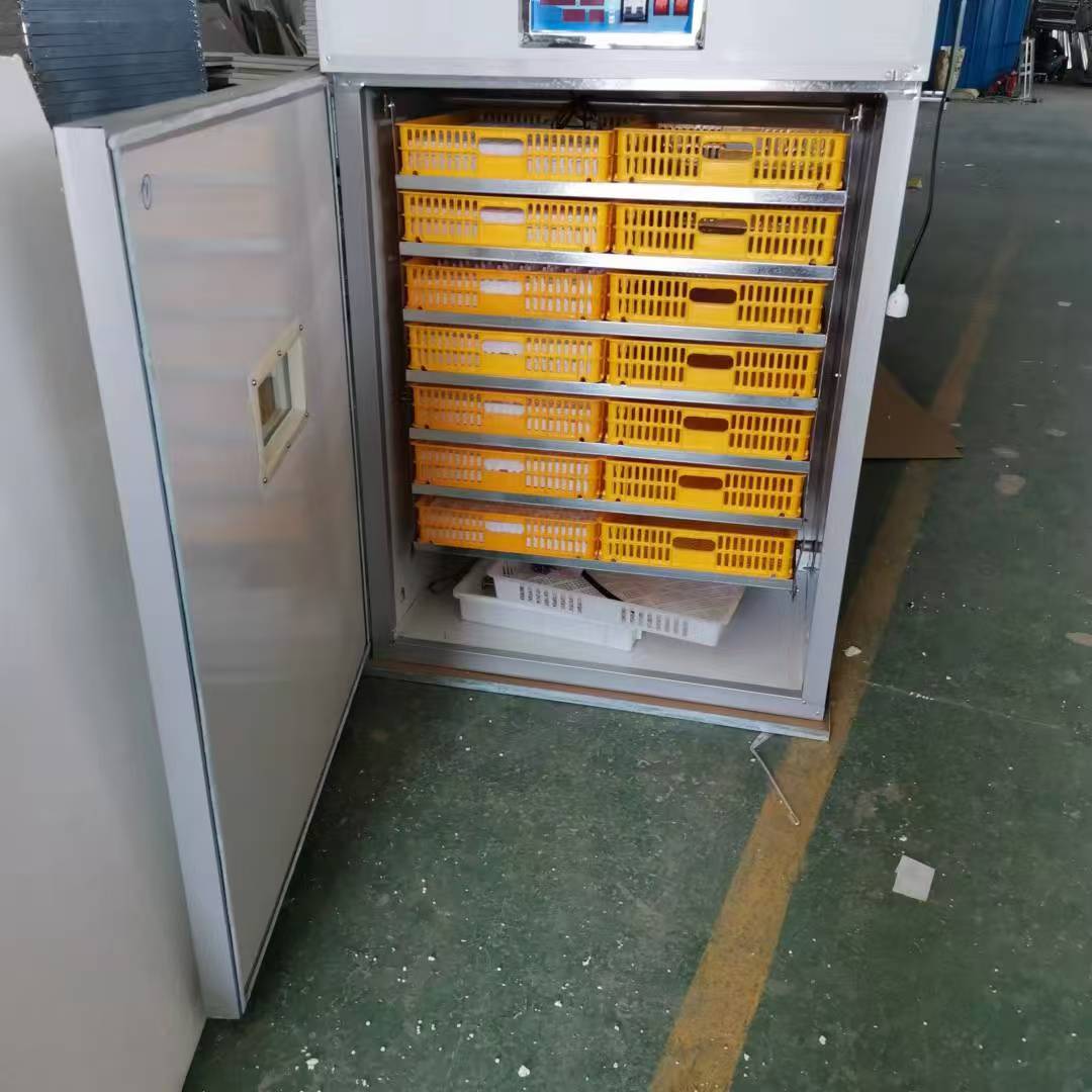 Incubatrice Automatica per Uov - Poultry Incubator recensione e prezzo