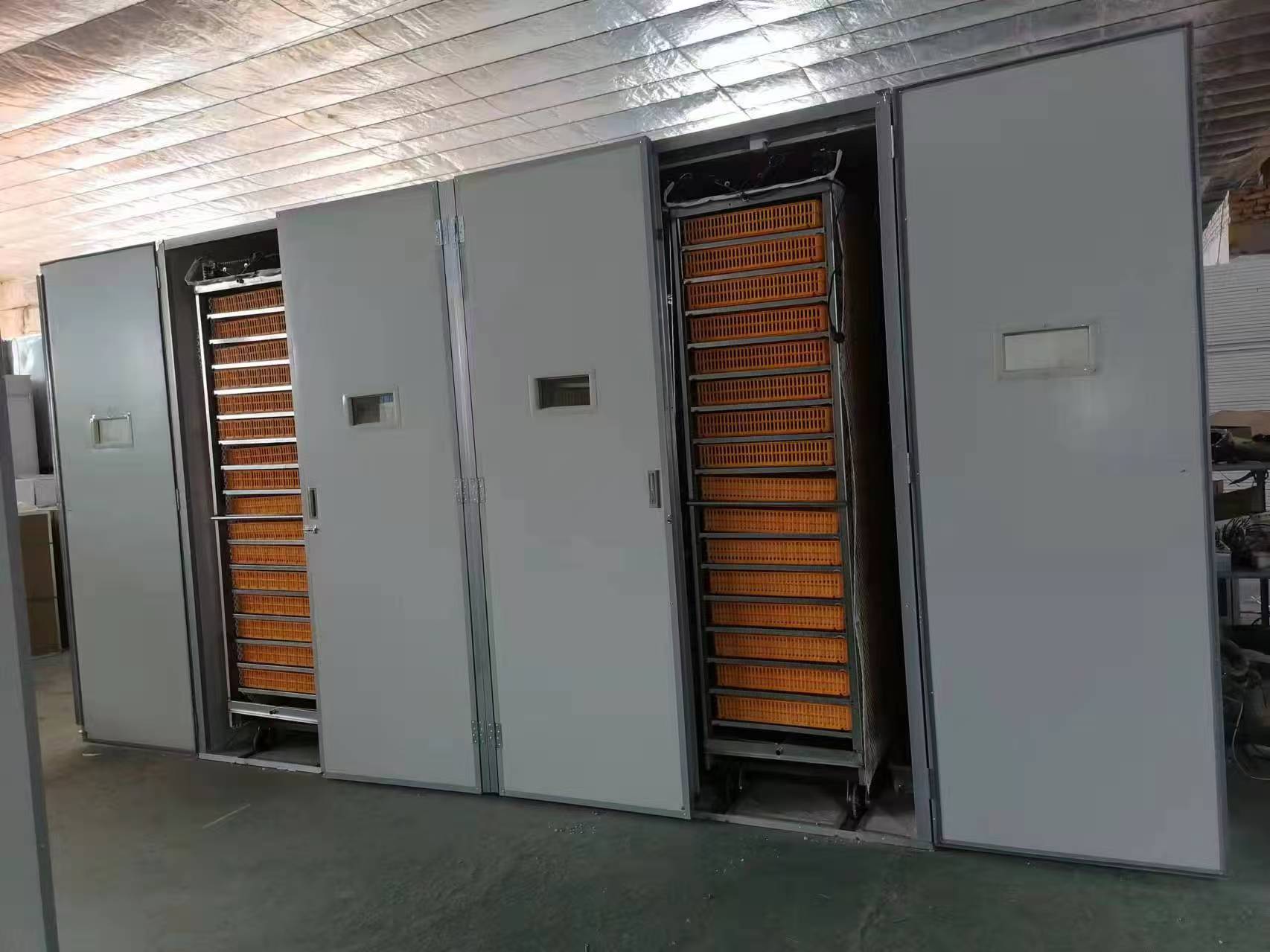 Incubatrice Automatica per Uov - Poultry Incubator recensione e prezzo