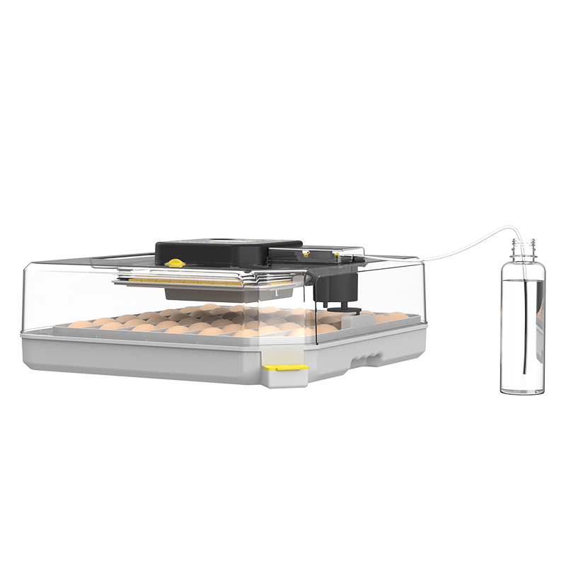 Incubatrice per Quaglie con Ta - Poultry Incubator recensione e prezzo