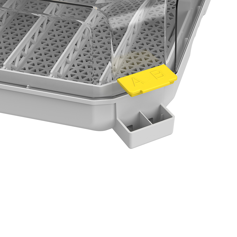 Incubatrice per Quaglie con Ta - Poultry Incubator recensione e prezzo