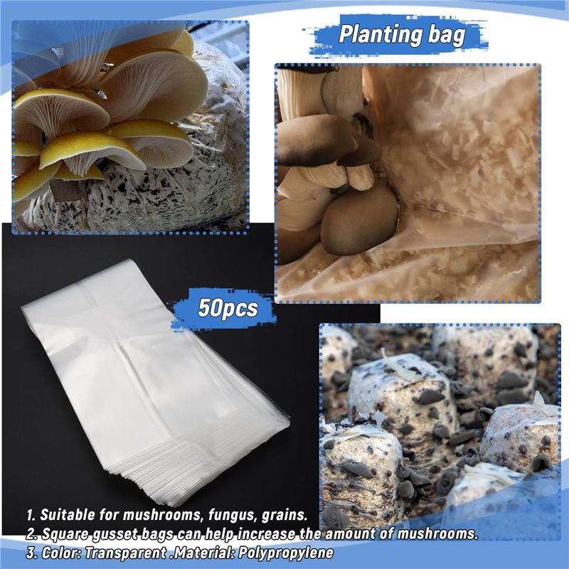 ABSJ-50 Pezzi Sacchi per Colti - Mushroom Spawn Bag recensione e prezzo