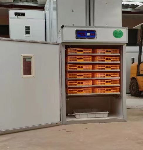 Incubatrice Automatica per Uov - Poultry Incubator recensione e prezzo