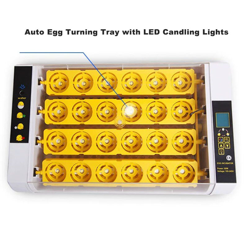 Incubatrice per Uova Completam - Poultry Incubator recensione e prezzo