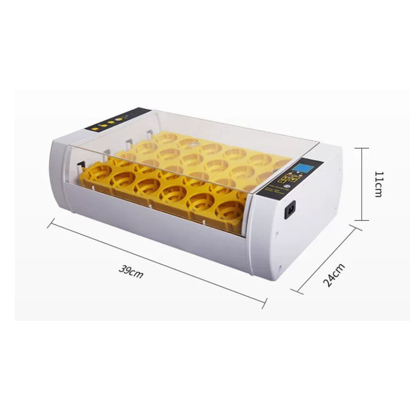 Incubatrice per Uova Completam - Poultry Incubator recensione e prezzo