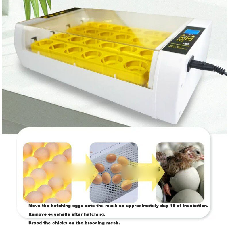 Incubatrice per Uova Completam - Poultry Incubator recensione e prezzo