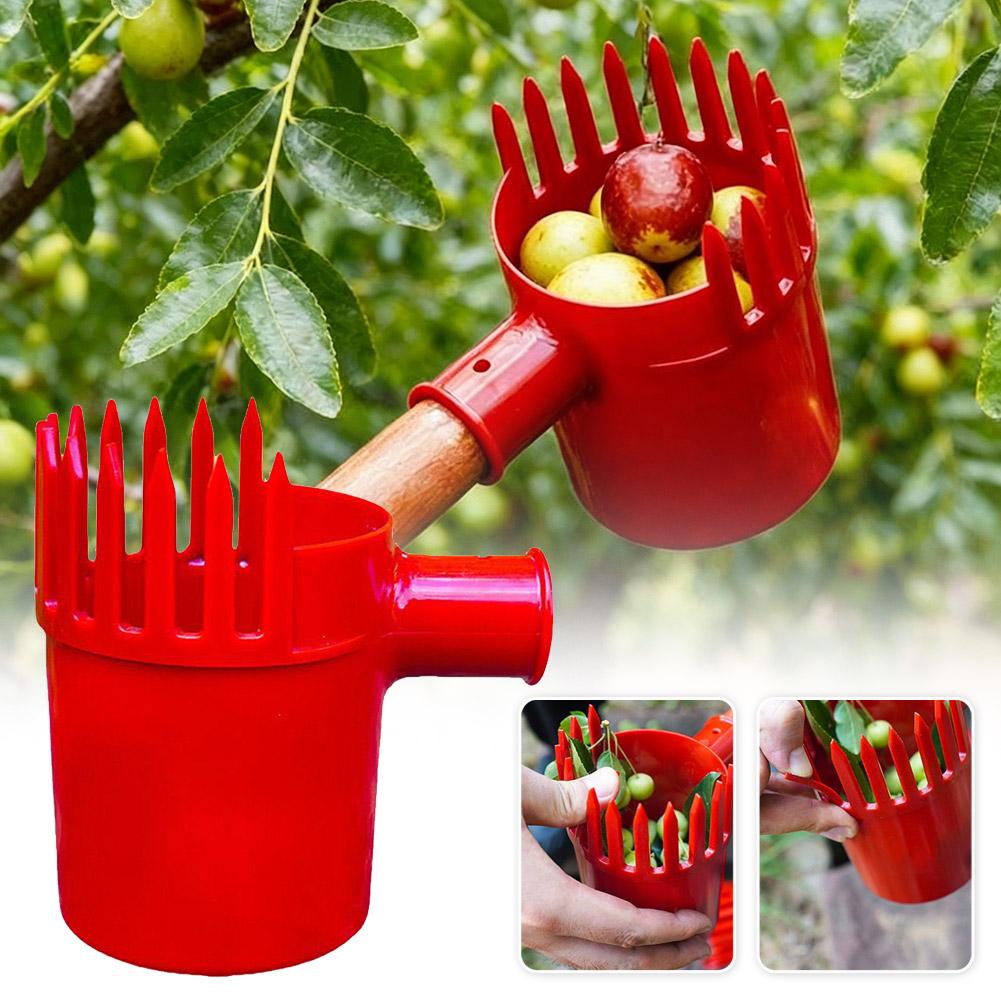 Raccoglitore di Frutta Portati - Agriculture Tomato Farming recensione e prezzo
