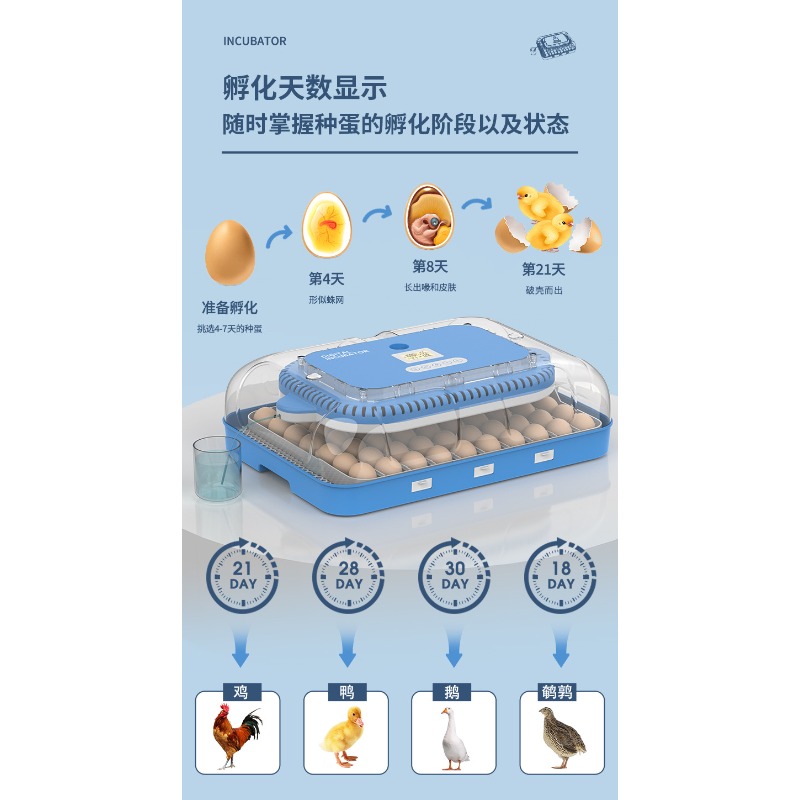 Incubatrice Automatica per Uov - Poultry Incubator recensione e prezzo