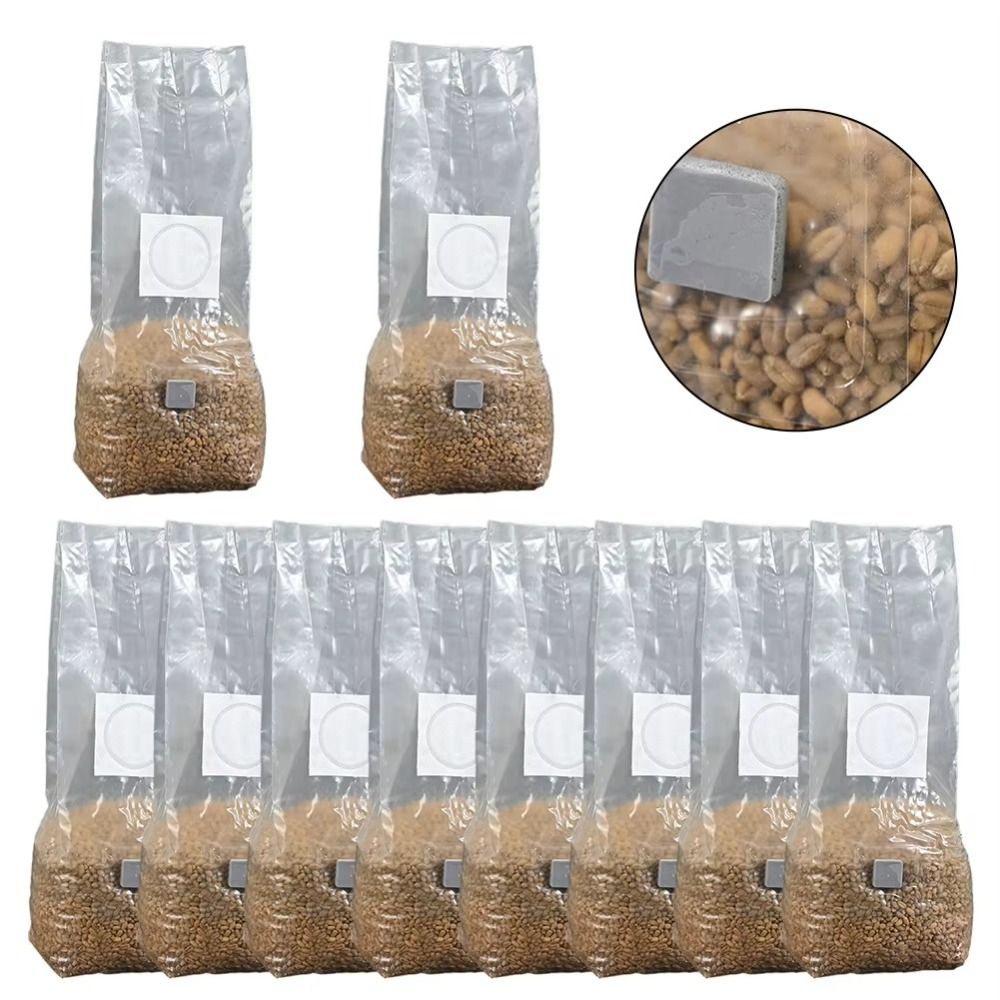 50 pz PP Fungo Piantare Borsa  - Mushroom Spawn Bag recensione e prezzo