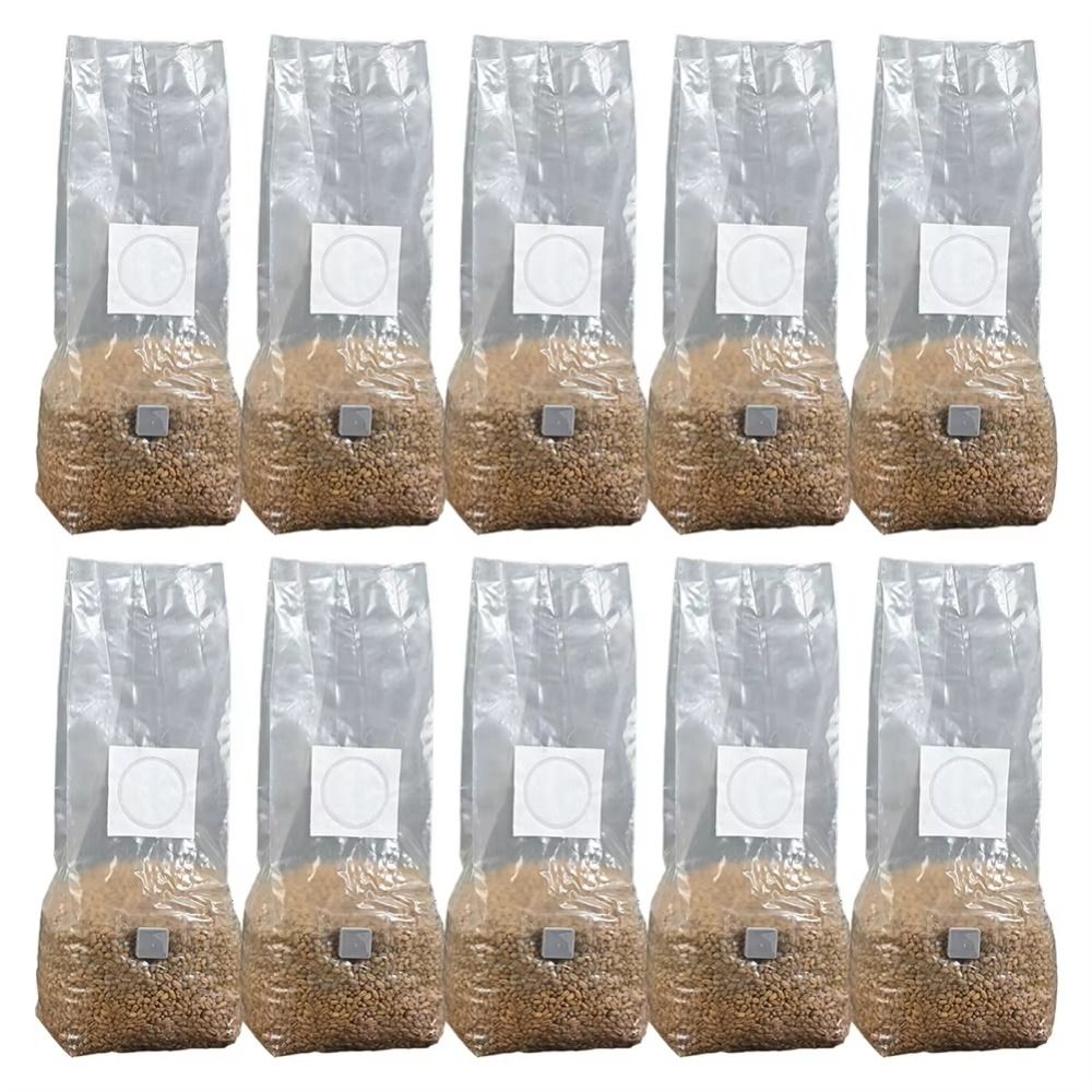 50 pz PP Fungo Piantare Borsa  - Mushroom Spawn Bag recensione e prezzo