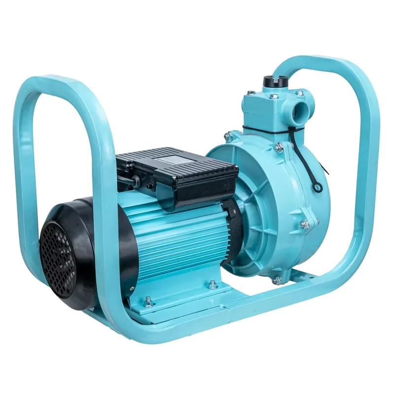 Pompa Elettrica ad Alta Potenz - Farming Pump For Agriculture recensione e prezzo