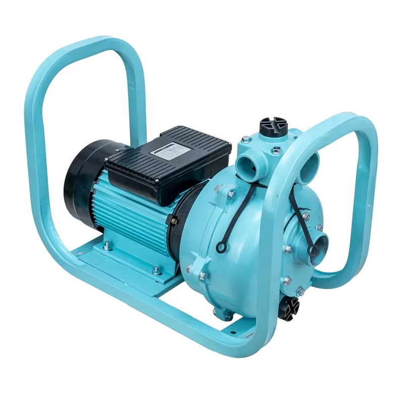 Pompa Elettrica ad Alta Potenz - Farming Pump For Agriculture recensione e prezzo