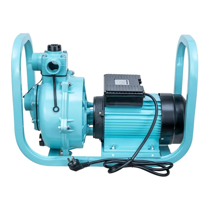 Pompa Elettrica ad Alta Potenz - Farming Pump For Agriculture recensione e prezzo