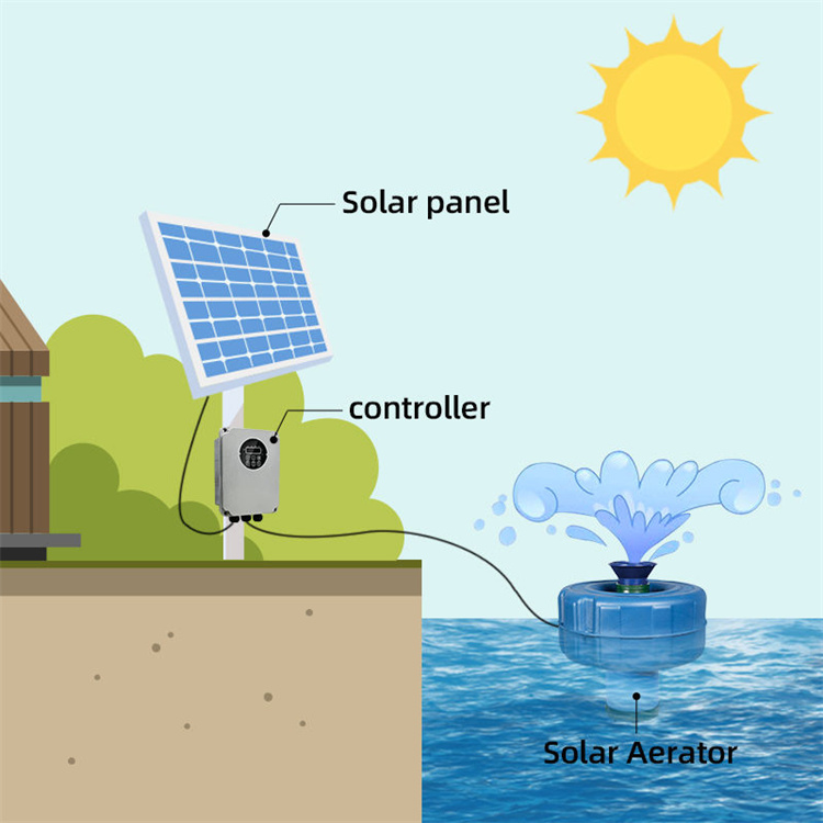 Aeratore Solare con Pompa di O - Fish Pond Aerator recensione e prezzo