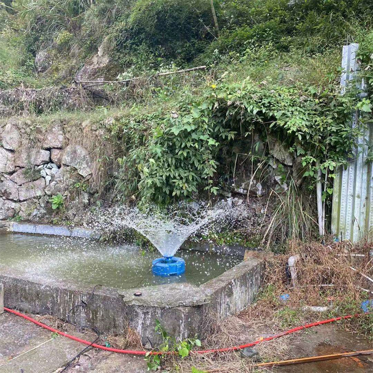Aeratore Solare con Pompa di O - Fish Pond Aerator recensione e prezzo