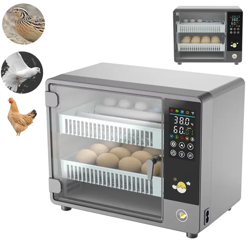 Incubatrice Automatica Intelli - Poultry Incubator recensione e prezzo