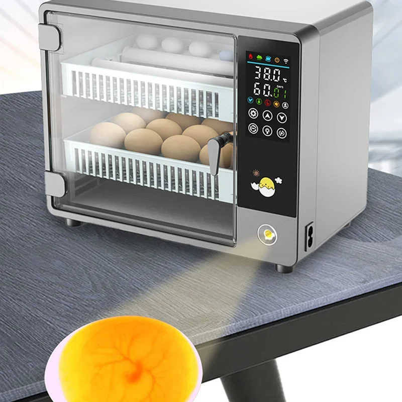 Incubatrice Automatica Intelli - Poultry Incubator recensione e prezzo