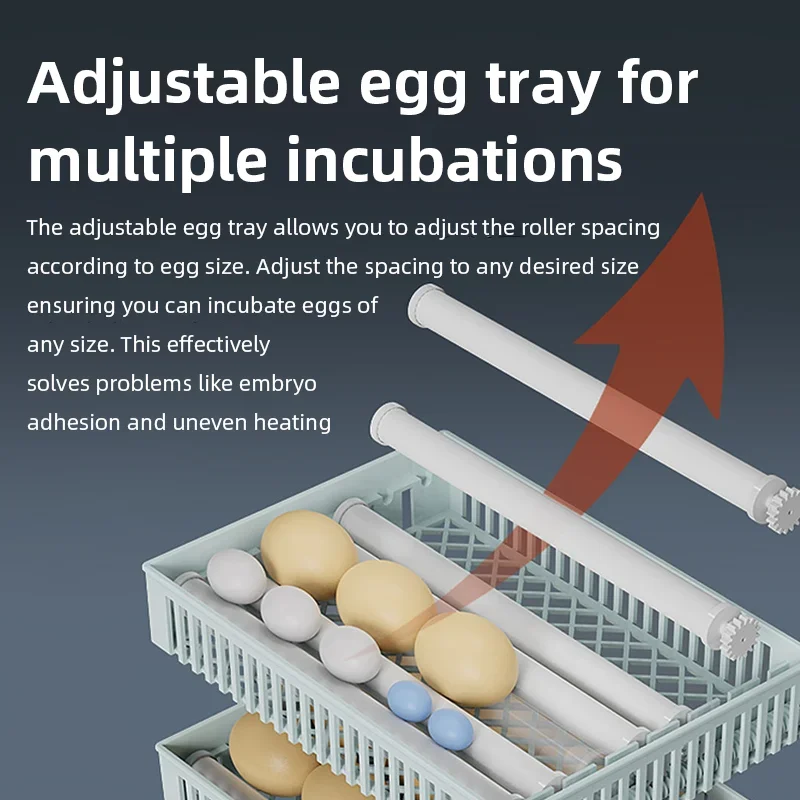 Incubatrice Automatica Intelli - Poultry Incubator recensione e prezzo
