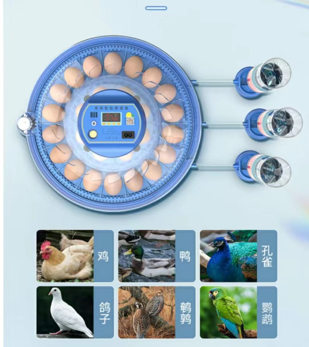 Incubatrice per Uova di Gallin - Poultry Incubator recensione e prezzo